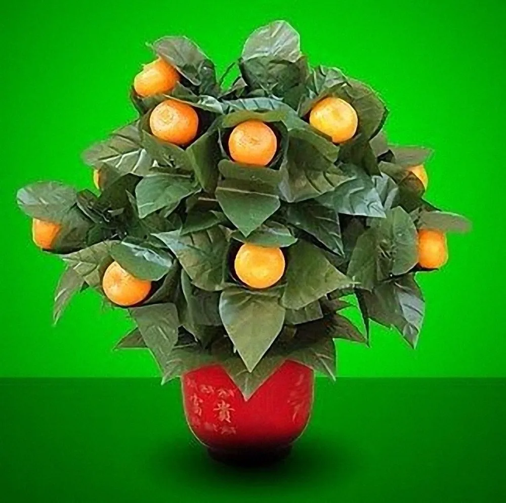 

15 Blooming Oranges - Remote Control -- Magic Trick , Stage Magic