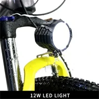 12w led light