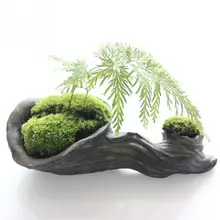 Novo musgo terrário ao vivo, decoração diy puro natural musgo bonsai floresta pavimentar cilindro acessórios de jardim
