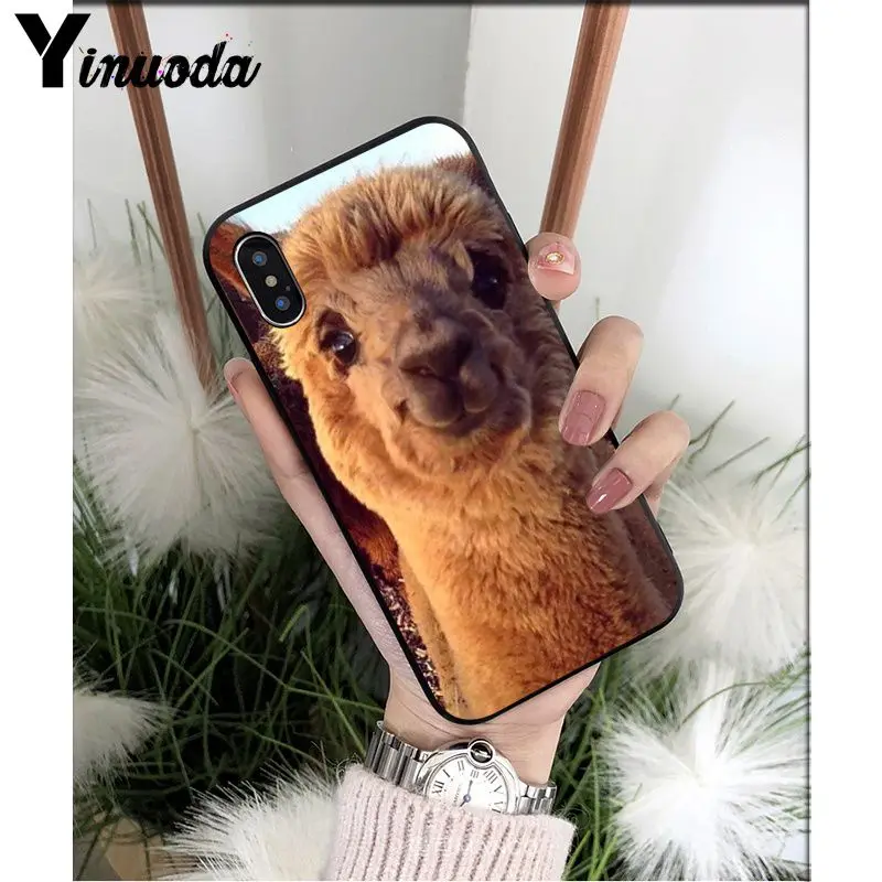 Yinuoda лама Alpacas животное умный чехол черный мягкий чехол для телефона для iPhone X XS MAX 6 6S 7 7plus 8 8Plus 5 5S XR