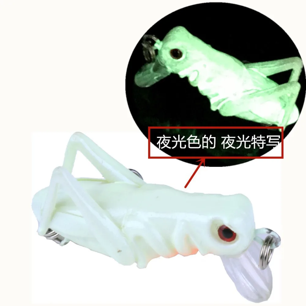 5591334859_1115484794 - 