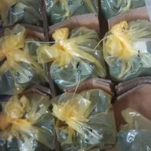 A10VSO45DFR1/31R-VPA12N00 насос rexroth