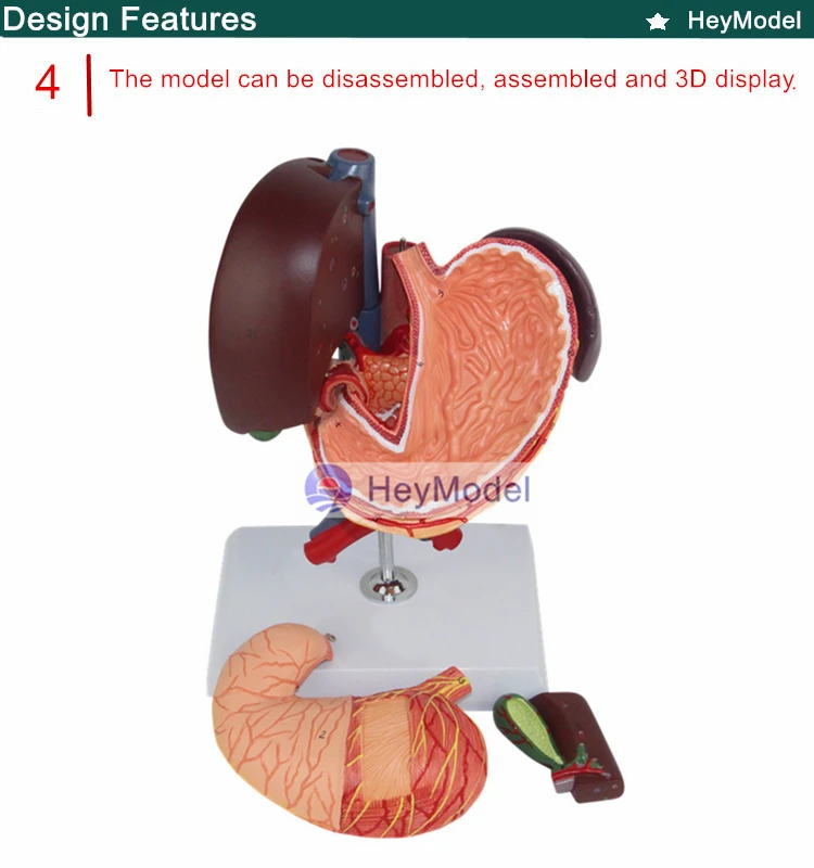 4 _