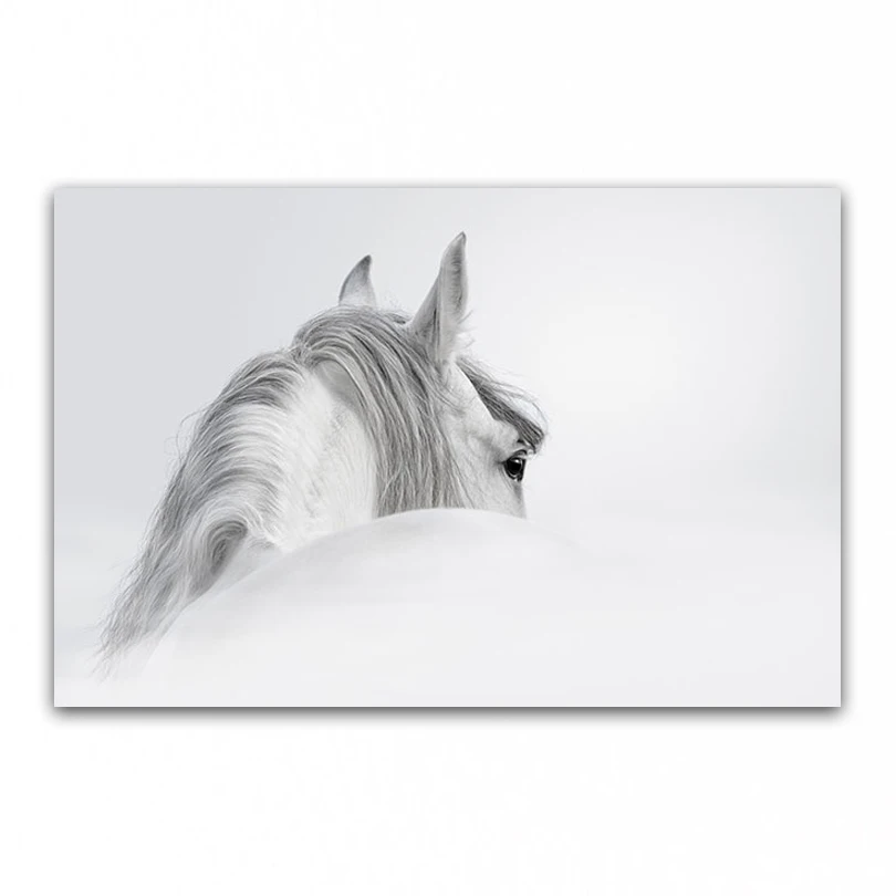 Белая стена конь. Постер белая лошадь. Скандинавские картинки для постеров. Белая лошадь картина в рамке. Постер в белой раме 50х70