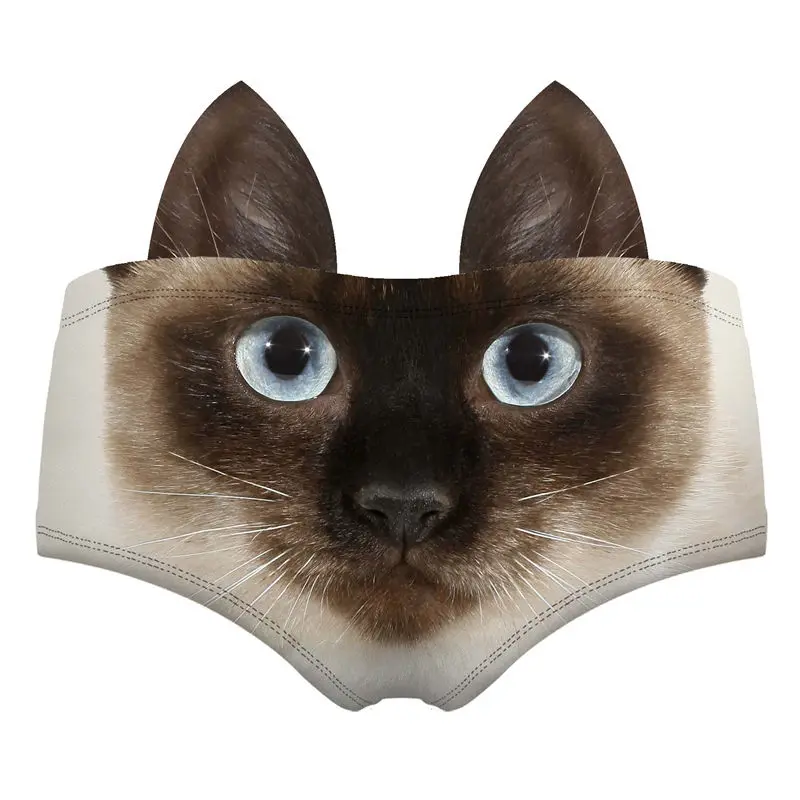 55117 siamese cat wiz back 