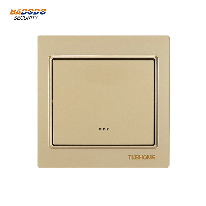 TZ55S gold