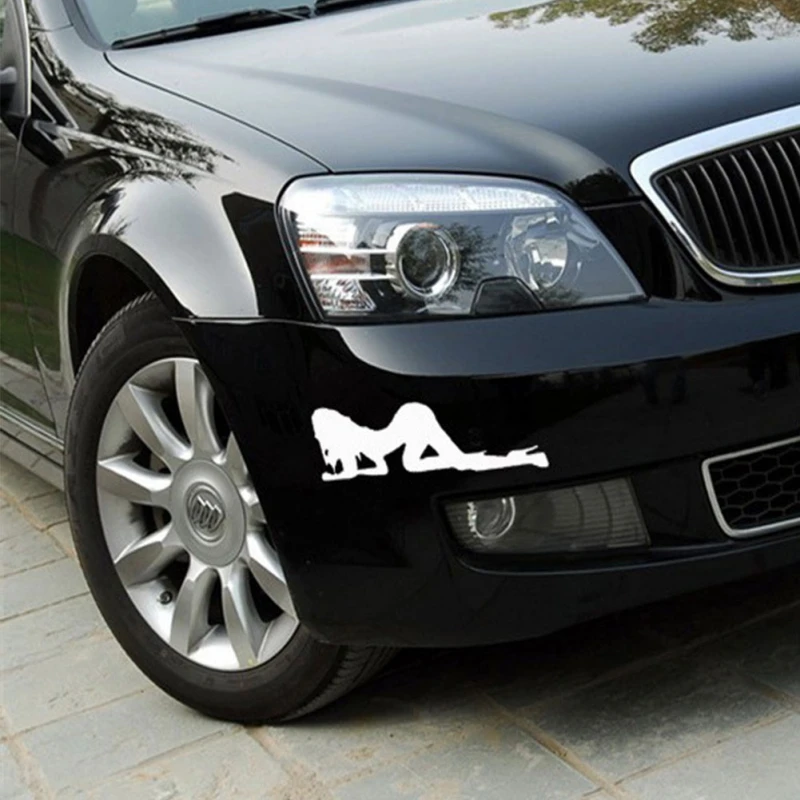 1set Car Stickers Reflective Feathers Body Scratch-Specific Feather Sticker Set | Автомобили и мотоциклы