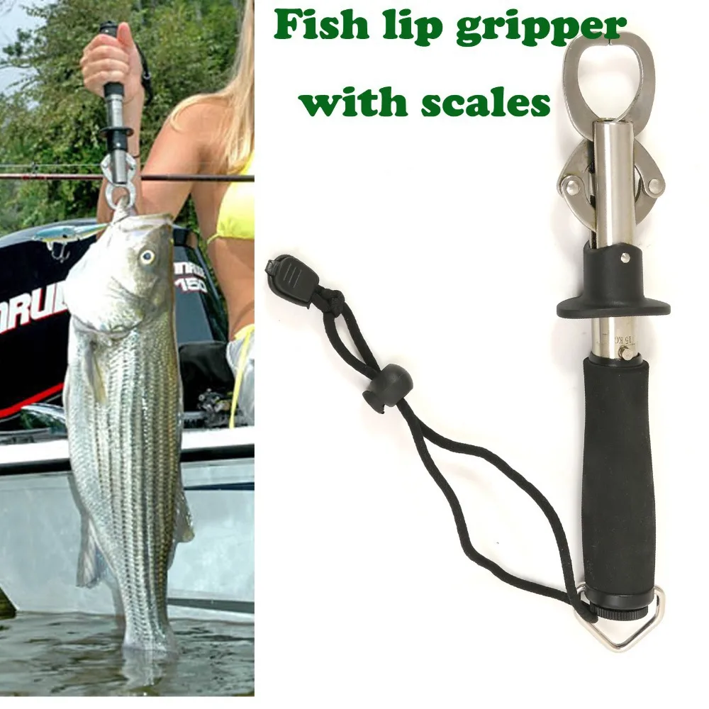 (BOGA style) 15KG Stainless Steel Fish Lip Gripper with Scales, Fish