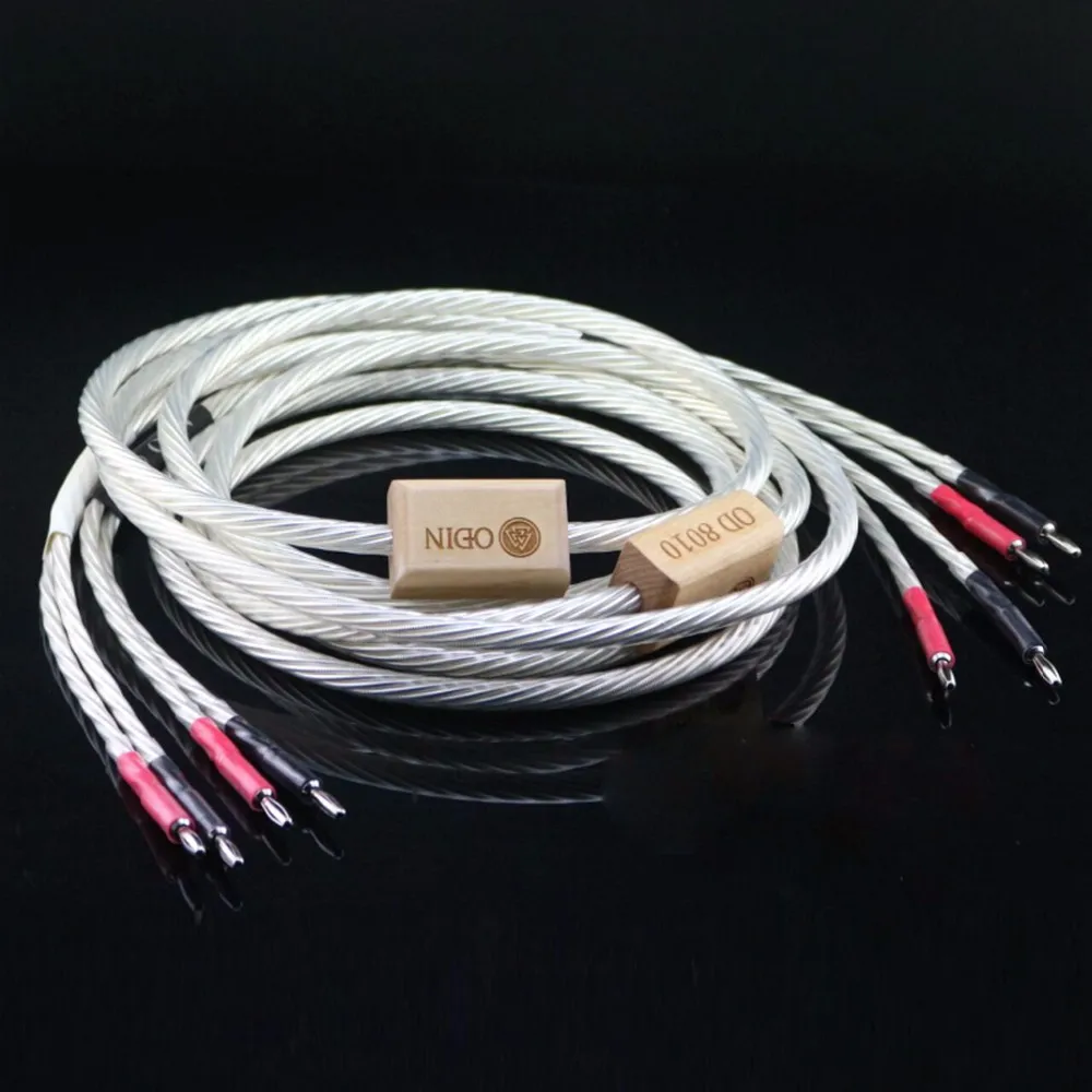 speaker cable (6)