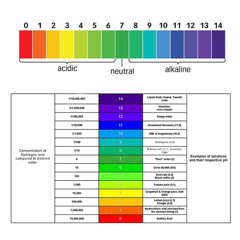 Caroline Philipson 1-14 Rouleau de test pH pour lacide alcalin lurine la peinture le contr/ôle pr/écis de la piscine la salive le sol
