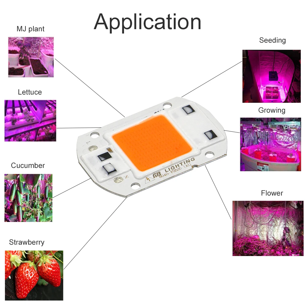 led chips  (6)