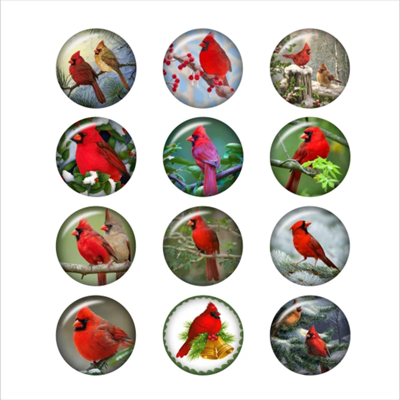 

mixed Christmas tree dog cat red cardinal 12mm/18mm/20mm/25mm/30mm Round glass cabochons demo flat back Making findings BP2021