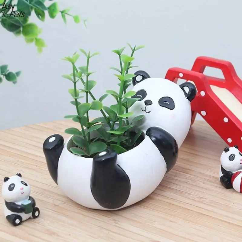 

LanLan Lovely Panda Shaped Succulent Plants Container Small Natural Cartoon Flowerpot as Ornaments-35