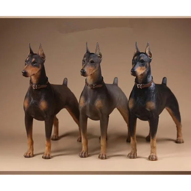 1/6 масштаб Doberman Pinscher Модель Статуэтка Смола животное собака модели коллекции аксессуаров домашний декор l3403