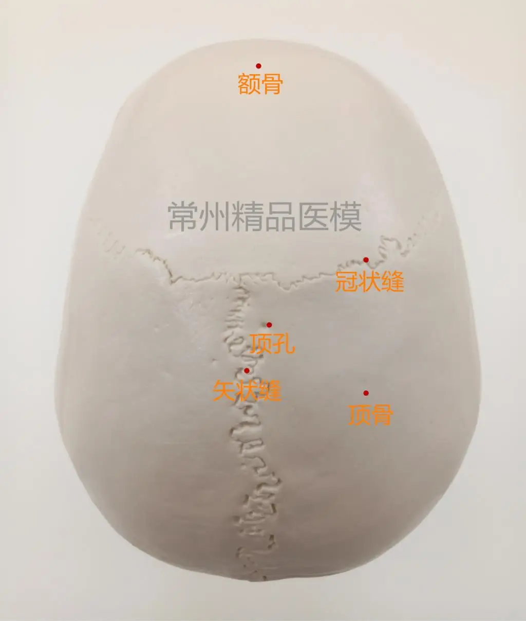 //img.alicdn.com/imgextra/i4/1835554806/TB2MqC4tpXXXXXyXpXXXXXXXXXX_!!1835554806.jpg