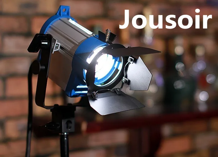 Fresnel Tungsten 1000W light+Bulb+Barndoor for photographic equipment Studio Video Light For Camera