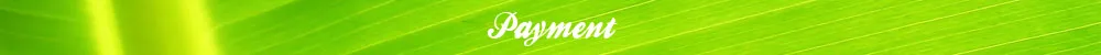 Payment
