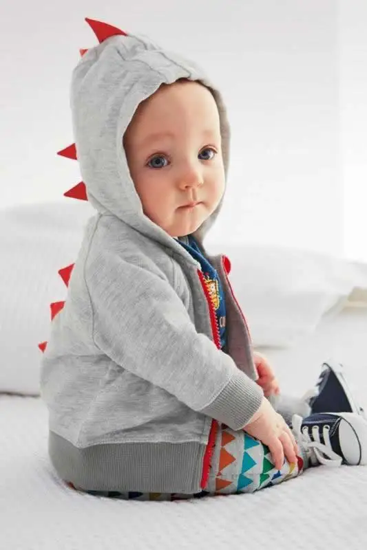 Dinosaur hoodie toddler boy Outlet
