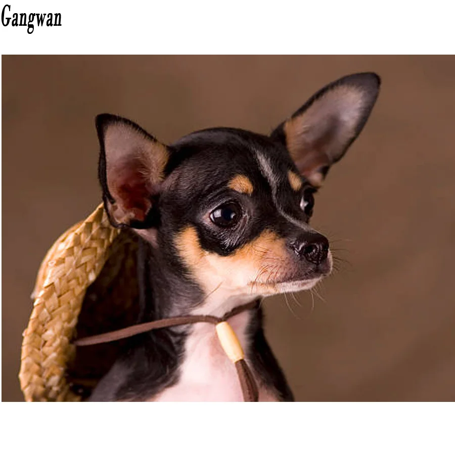 5d diy full square round drill diamond painting cute chihuahua embroidery diamant dog Cross Stitch Rhinestone mosaic painting decor