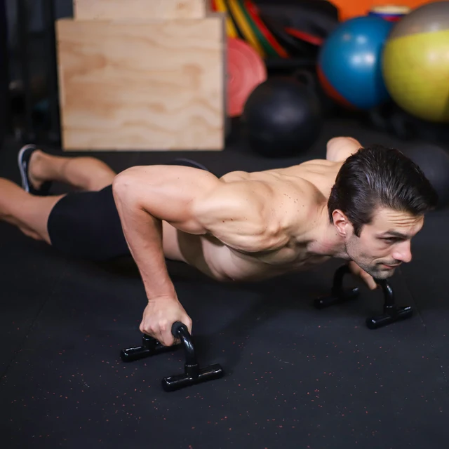 Push-Up Rack for Workout 5