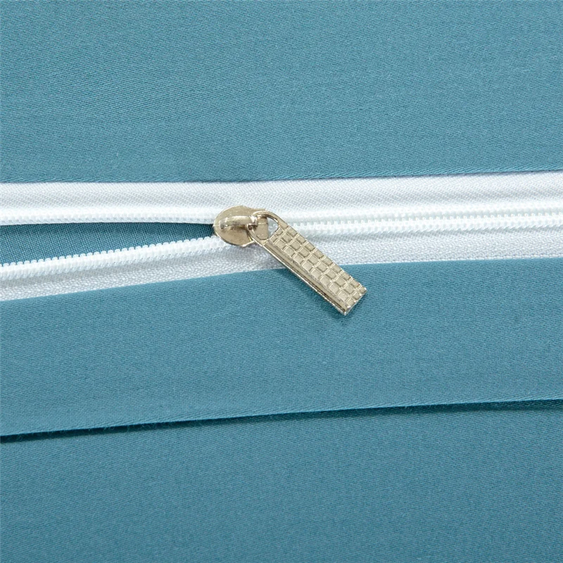 2C4A9137