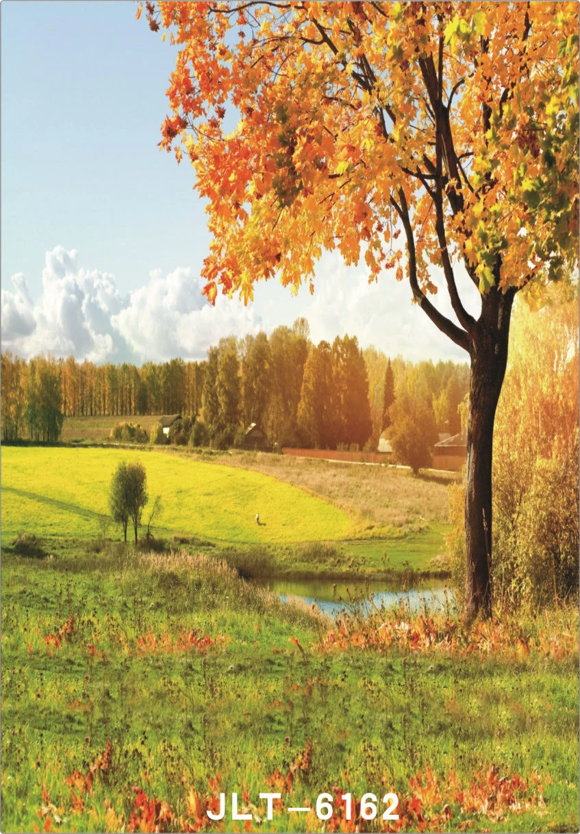 5x7ft Autumn Yellow Tree Grass Photography Background Computer-Printed Vinyl Backdrops 5x7ft Autumn Yellow Tree Grass Photography Background Computer-Printed Vinyl Backdrops