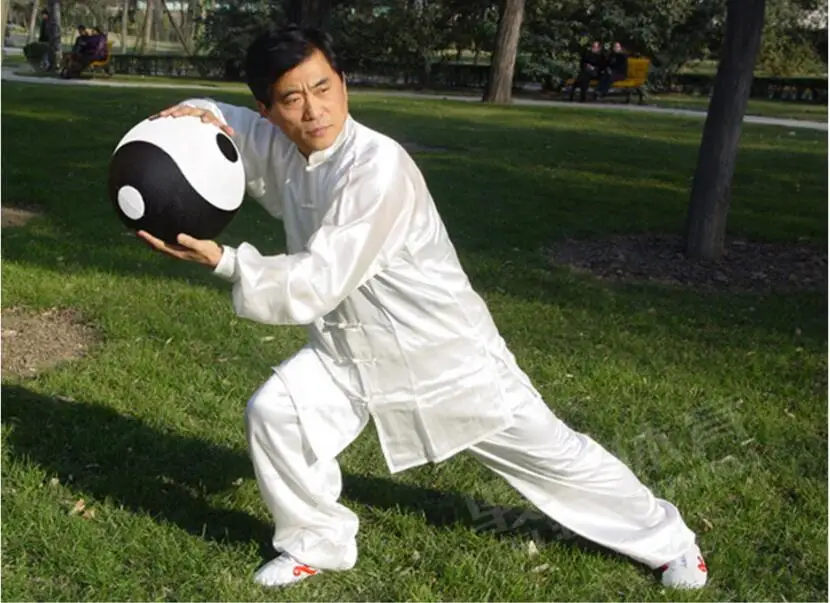 Игра удержи шарик. Tai chi ball exercises. Chi topu. Железные шары инь янь. Шары тай чи.