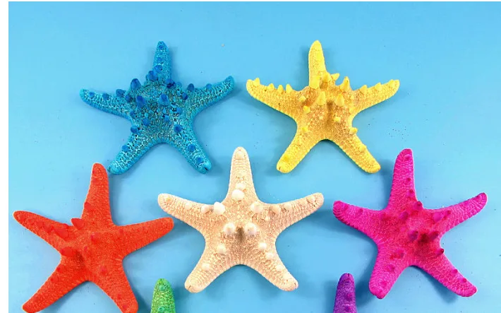Online Whole Starfish Decoration From China Decoration Crafts Natural Conch Ss Starfish 11cm China Mainland
