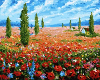 

Unframe diy picture oil painting by numbers paint by number for home decor canvas painting 5065cm peony field