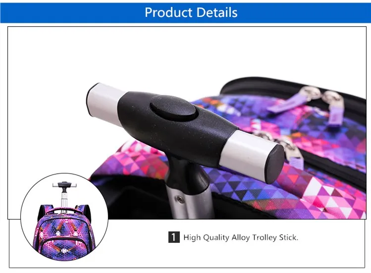 rolling backpack (17)