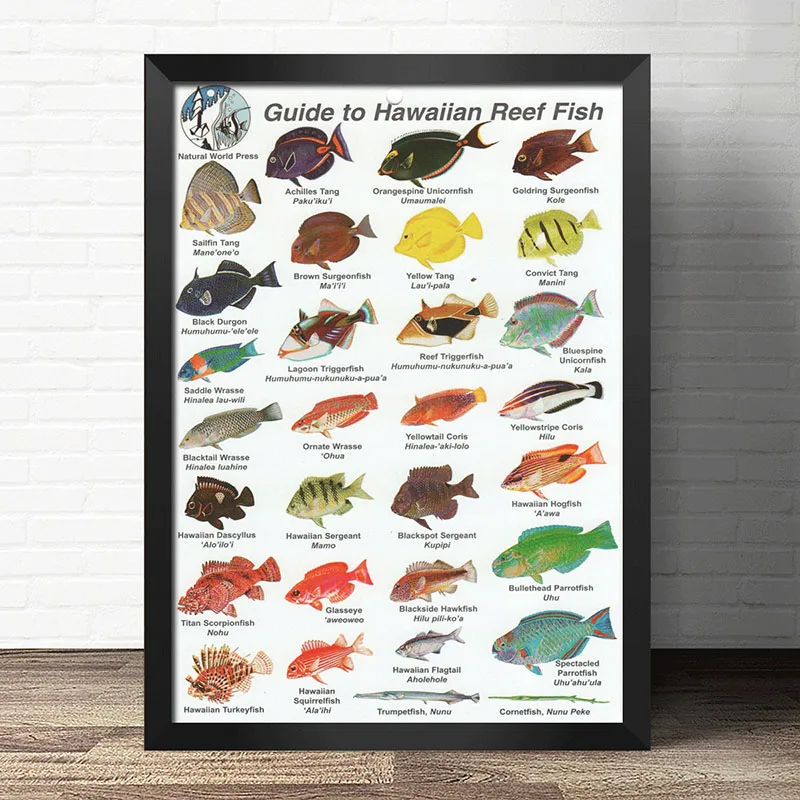 COSY MOMENT Deep Sea Fish Educational Prints Aquatic Products Identification Reference Chart Nursery Wall Art Poster ZS165