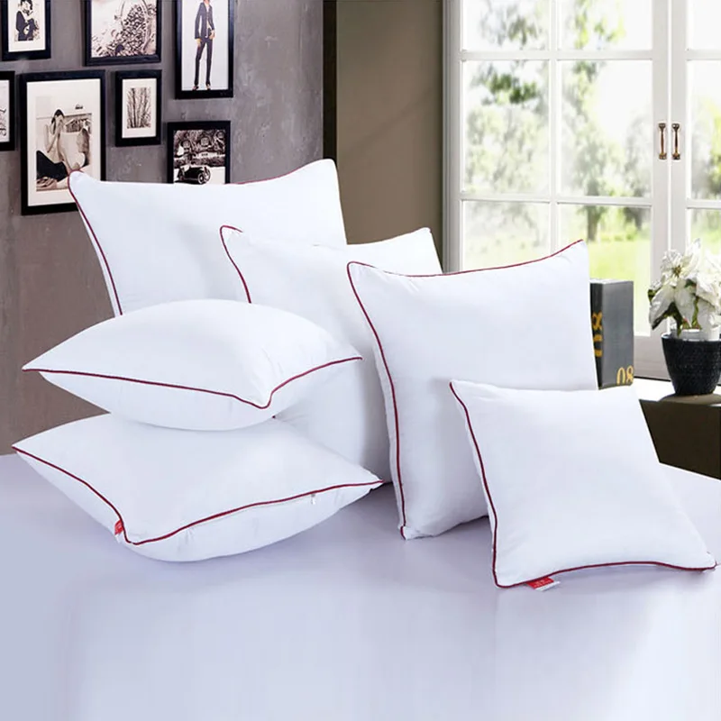 

Pillow Core 50*50 cm Brushed Pillow Core Back Cushion Core Velvet Pillow Core Size 45*45cm