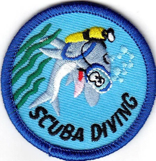 

Custom embroidery Patches club Iron On Patch Sew On Embroidered badge factory direct no MOQ fast delivery