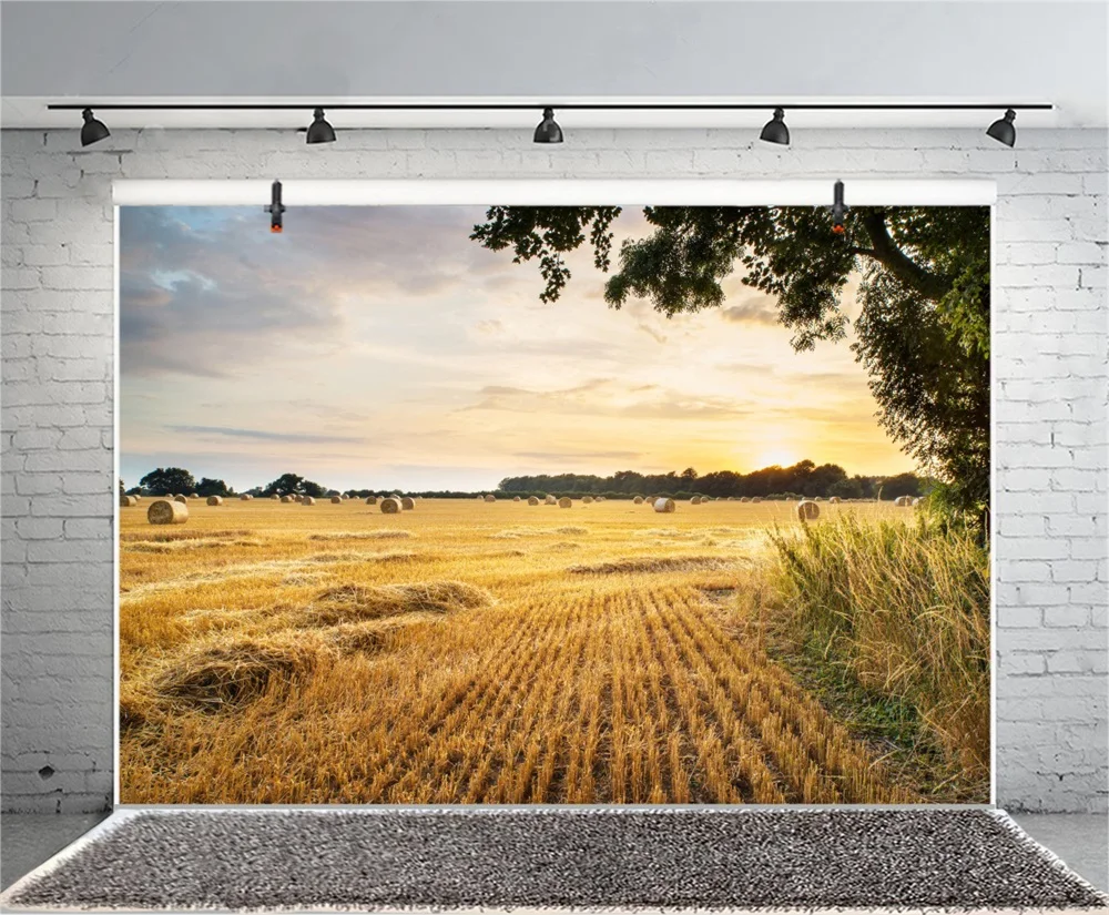 Laeacco 7x5ft Dusk Harvesting Farmland Hayricks Vinyl Photography Background Golden Sunset Glow Summer Countryside Scenery Backdrop Rural Scenic Landscape Wallpaper Studio Photo Props