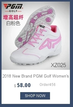 dianxiaobao