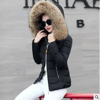 Новинка, женский пуховик с подкладкой, зимнее теплое пальто, Большая Меховая толстовка с капюшоном, тонкое короткое пальто на молнии, Дамская элегантная зимняя куртка LZ878 - Цвет: black huangmao