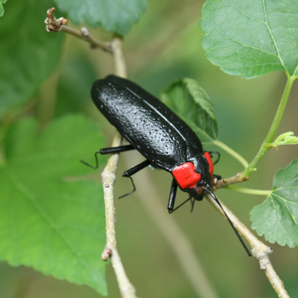 Mini Insect Bug Figures, Bug Toys for Birthday, Christmas, Halloween Decoration
