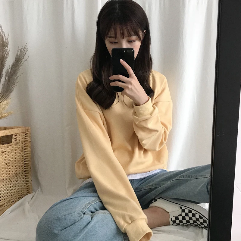  8 colors autumn and winter 2018 Hoodies Women Sweatshirts solid color Long Sleeve thicking Sweatshi