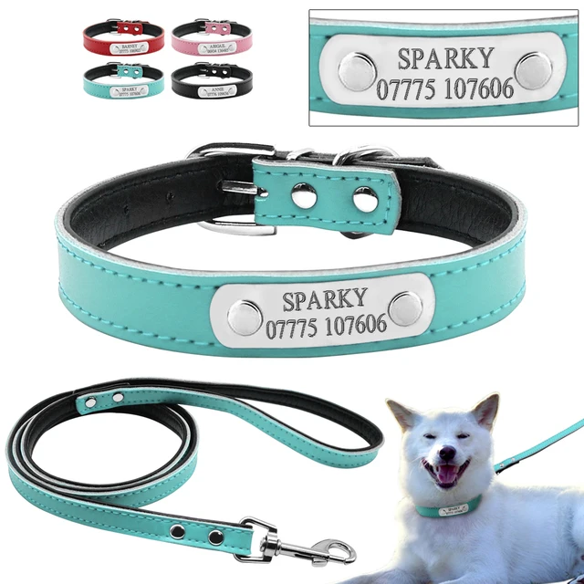 4 Couleurs Personnalisé Gravé Chien Collier Laisse Set