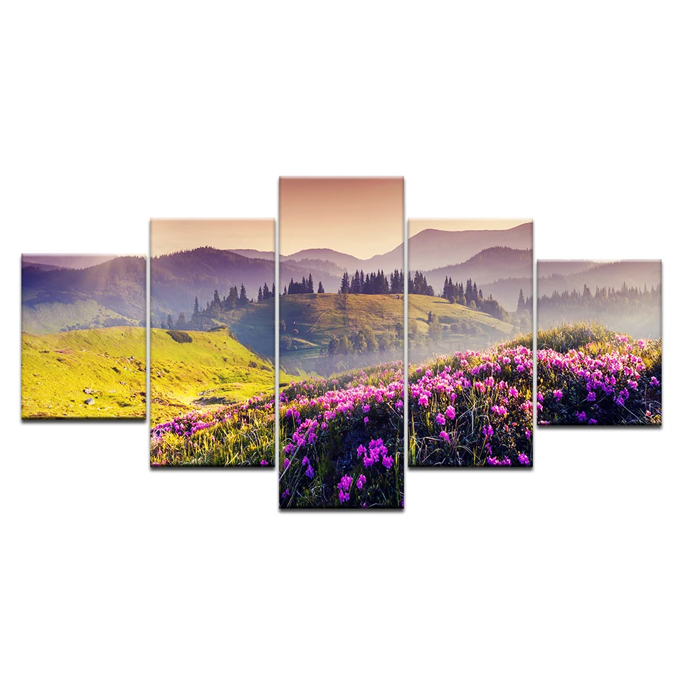 5