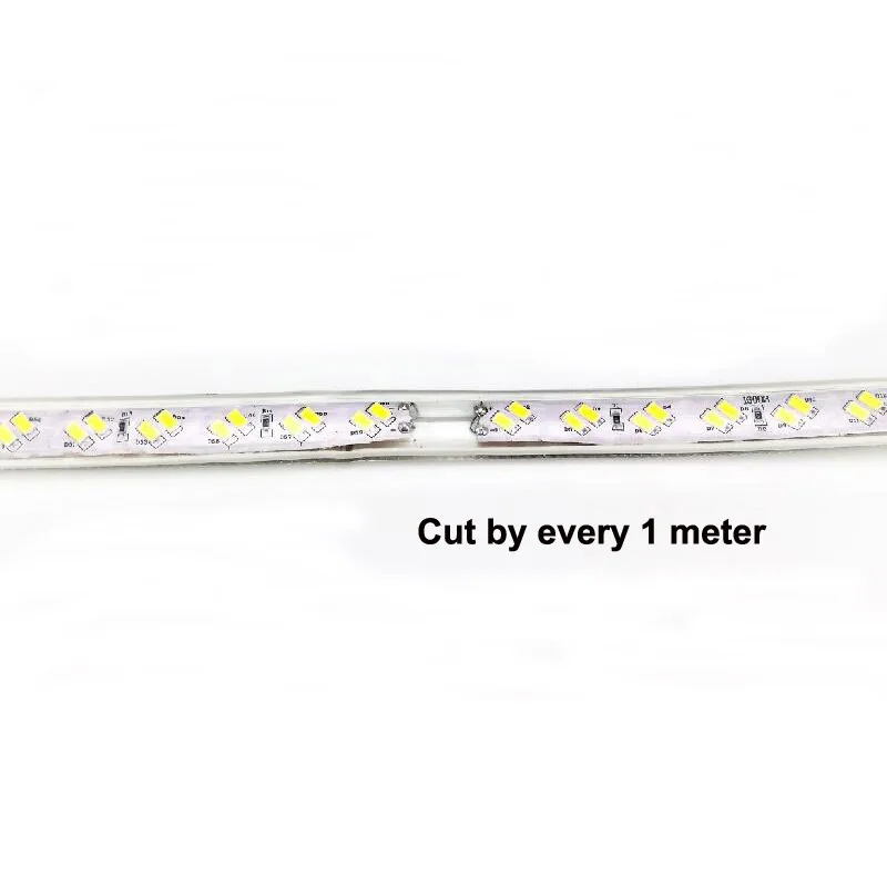 220v dual color strip 4