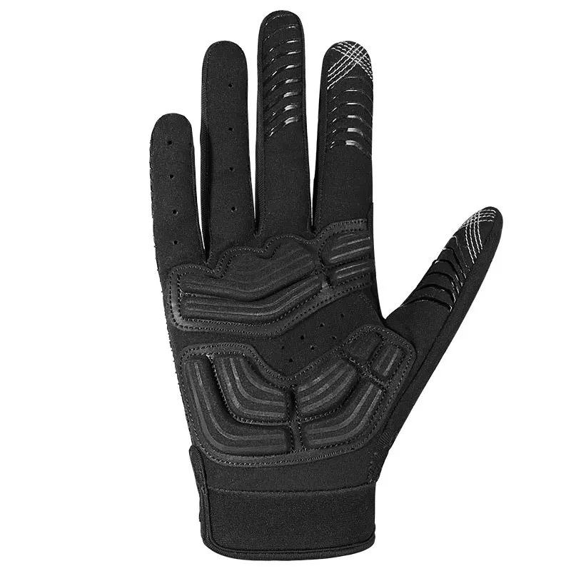 QX10B455 (4)
