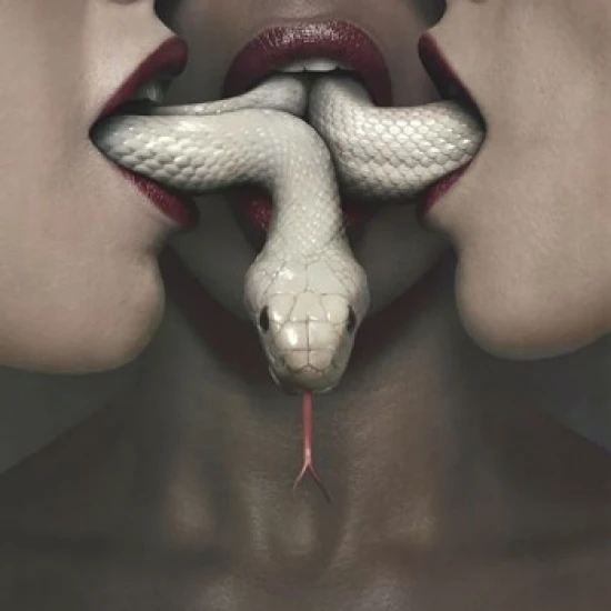 American Horror Story - Coven Laminated Poster Print (22 x 34)