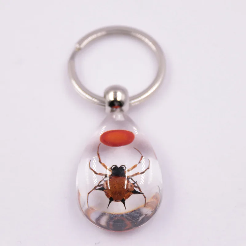 3 шт. прозрачный настоящий брелок для ключей с насекомыми жуками образцы животных коллекционное кольцо для ключей натуральный смешанный брелок для ключей