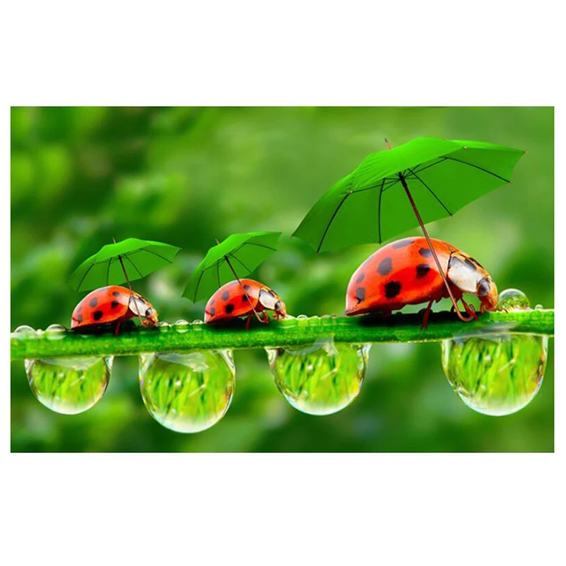 HTB1ZMxnNXXXXXX_aXXXq6xXFXXXi (2)