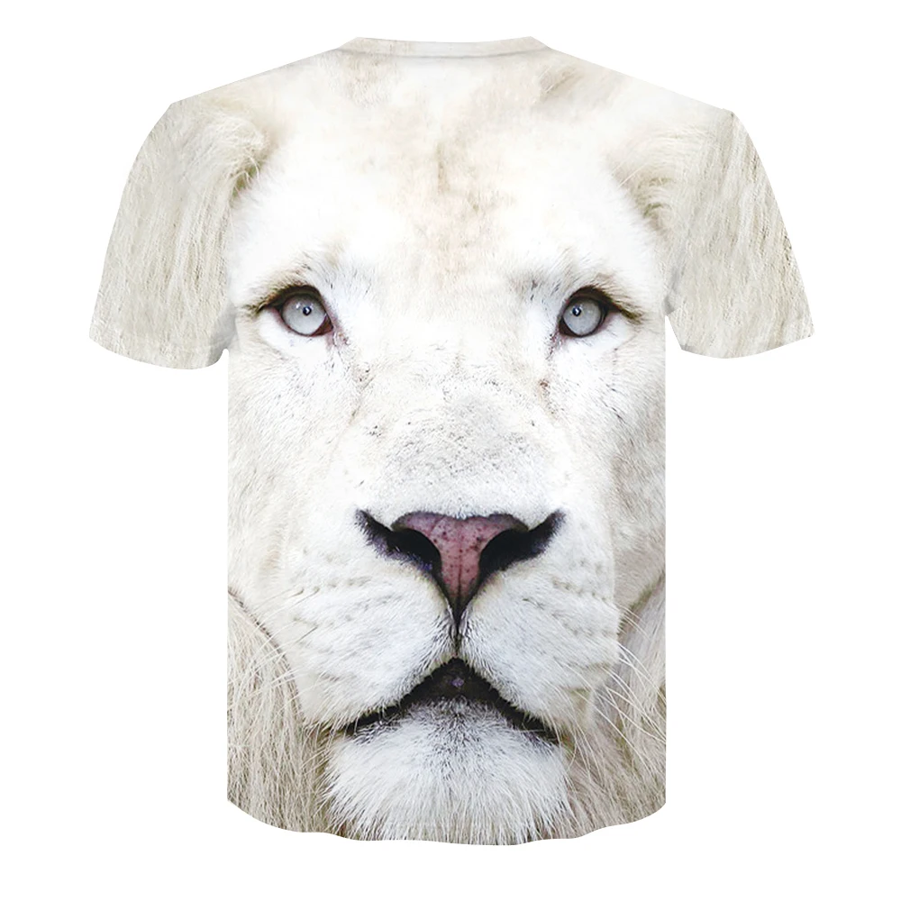 DT051-T-