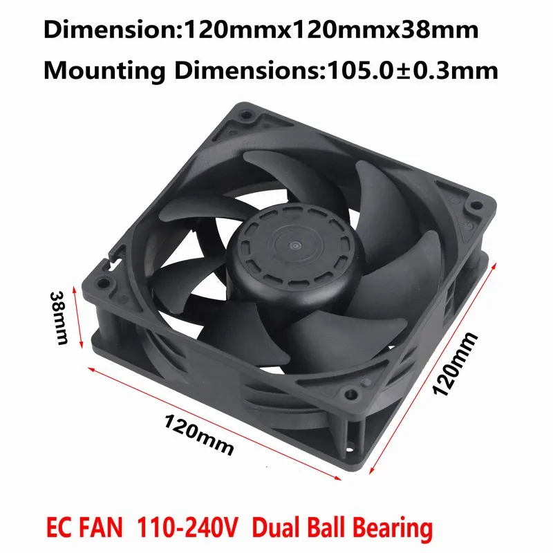 IMG_1037 - 