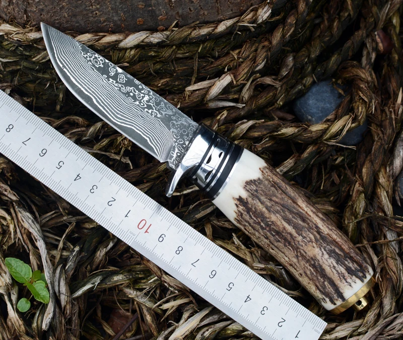 Voltron chasing antlers Damascus steel straight knife, collecting gifts outdoor camping multi-purpose knife