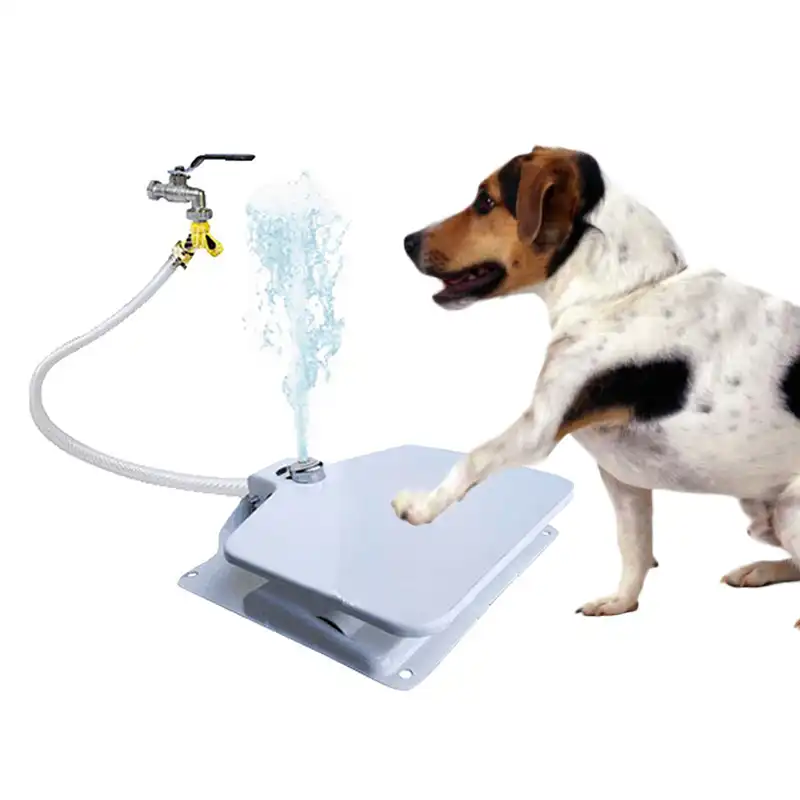 dog water drinking fountain