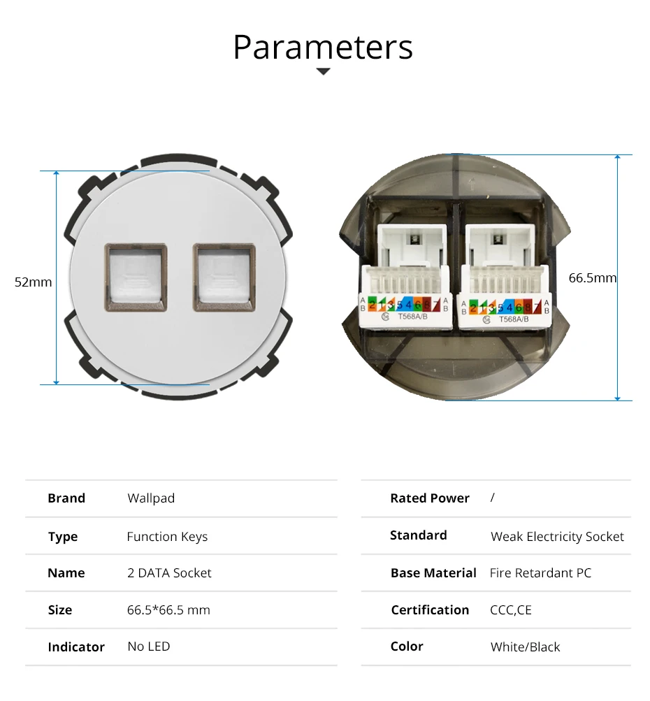 Wallpad 2 DATA Compute сетевой настенный разъем функциональная клавиша только слабые электрические розетки CAT5 Rj45